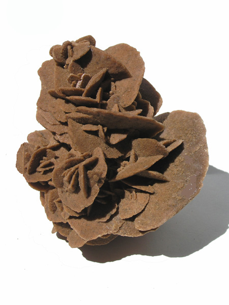 Rose des sables, Gypse M2479