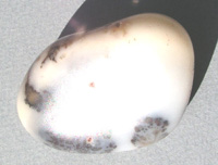 Opale Mousse ou  Opale Dendritique PR23