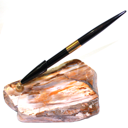 Porte-stylo en bois fossilisé DECO17